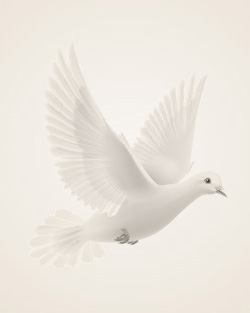 James Byron Davenport Obituary-img