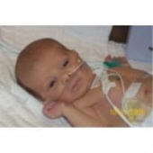 braydon alexander