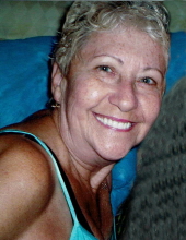 carol stout