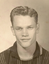 donald mullins