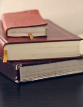 shirley  (bower) orr